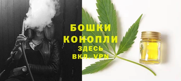 крисы Инсар
