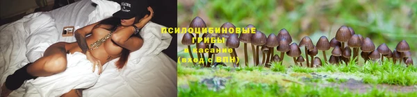 соль курить ск Иннополис