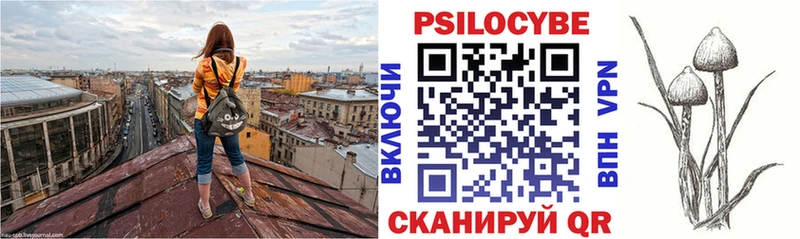 Галлюциногенные грибы Psilocybine cubensis  Купить закладки  Нижний Тагил 
